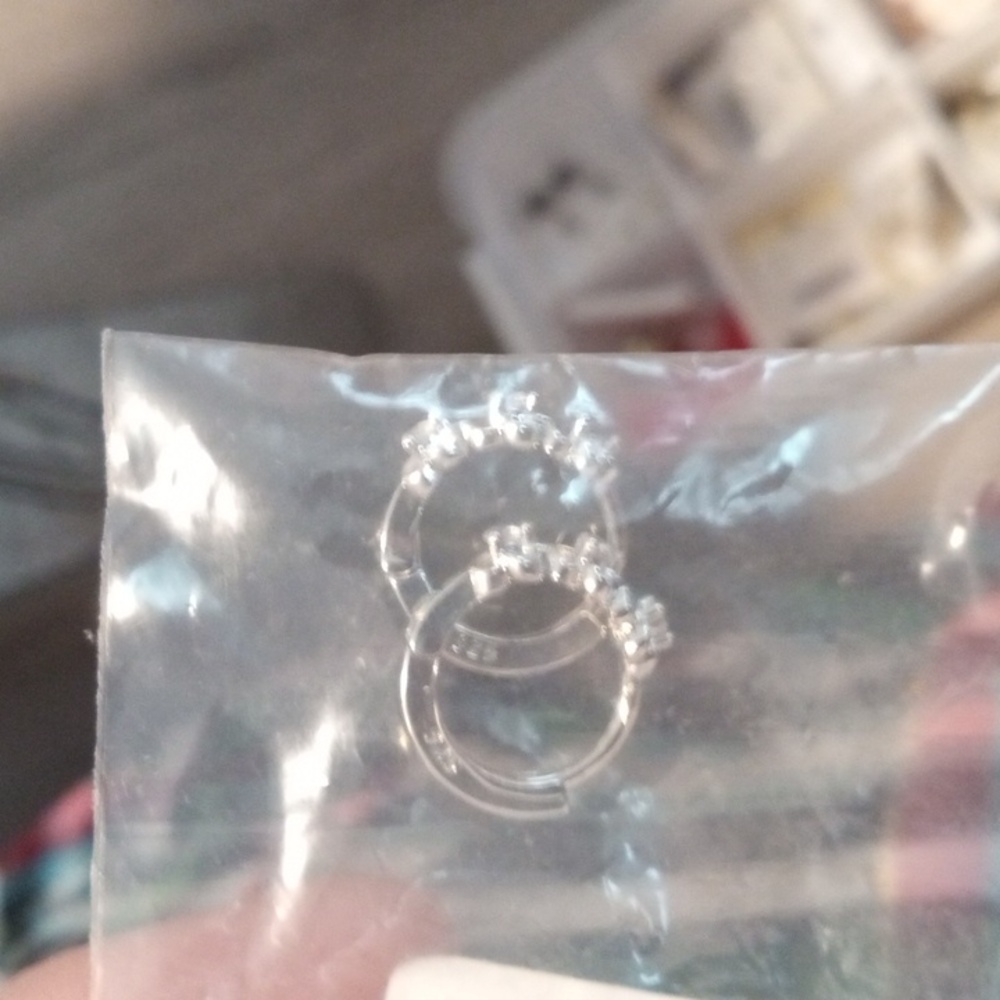 COPY - Silvery earrings